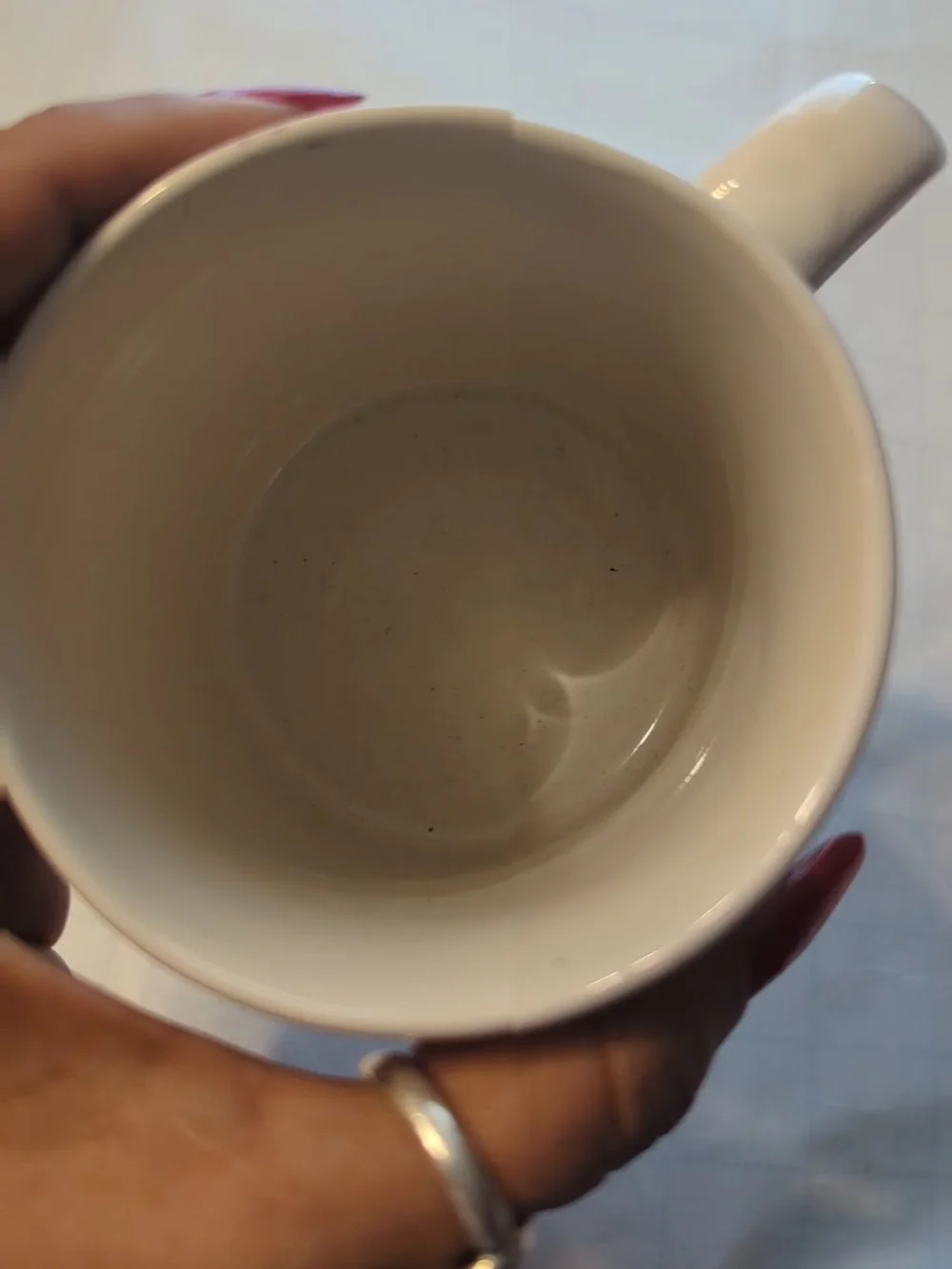 Festive Reindeer Holiday Mug - Green and Red